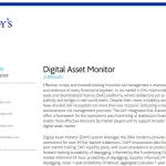 Digital Asset Monitor methodology