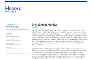 Digital Asset Monitor methodology